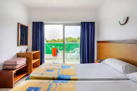 Vibra Palma Cactus - 38