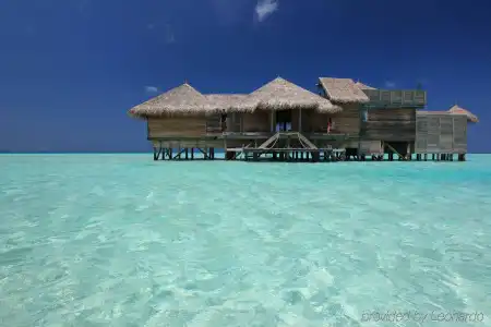 Gili Lankanfushi Maldives - 25