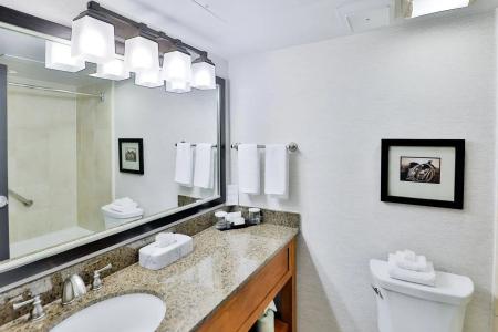 Embassy Suites by Hilton Austin Central - 8