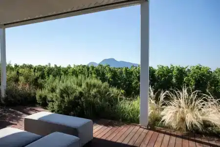 Tenuta di Castellaro Winery & Resort - 10