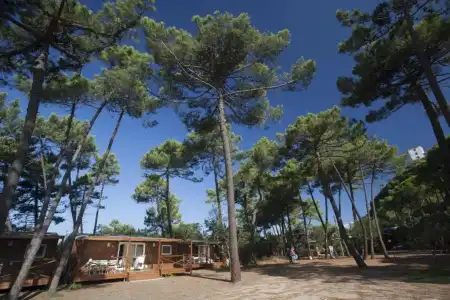 PuntAla Camp & Resort - 59