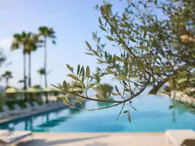 Grecotel Filoxenia - 19