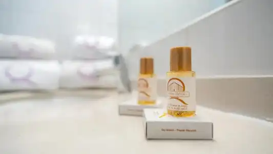 Hôtel Ours Blanc Centre - 22