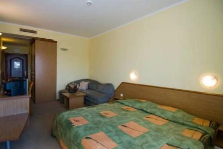 Hrizantema- All Inclusive - 38