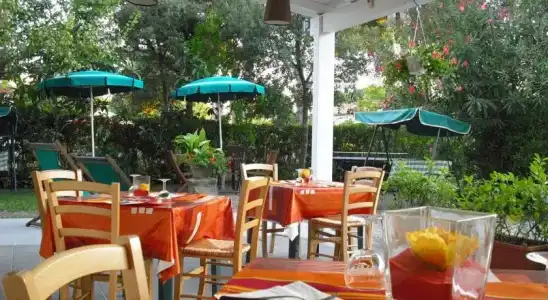 Garden - 10