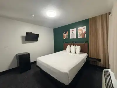 Le Bon Hollywood - 5