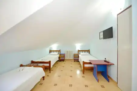 Pana-Eustahije 253 - 10