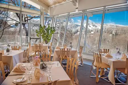 Aspen Meadows Resort - 37