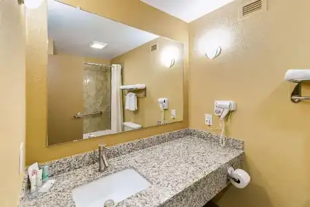 Quality Inn & Suites Lubbock South - 43