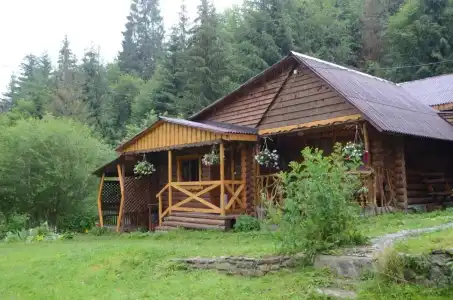 Zarinok - 43