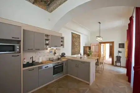 Residence U Mecenáše - 235