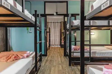 The Guest - Hostel - 58