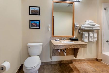 Comfort Inn & Suites Durango - 72
