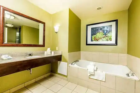 Hilton Garden Inn St. George - 59