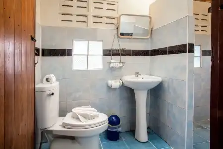 The Vatika Resort and Spa - 8