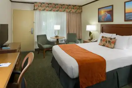 Best Western Seven Seas - 57