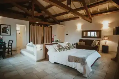 Masseria Baroni Nuovi - 84