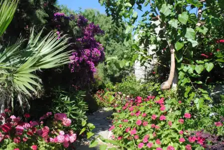 Eski Datca Pansiyon Cafe - 39