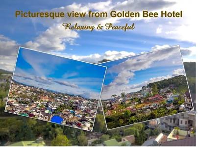 Golden Bee - 73