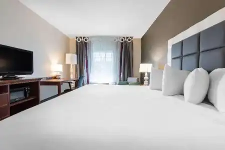 Best Western Erie Inn & Suites - 49