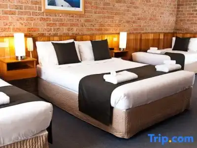Begonia City Motor Inn - 28