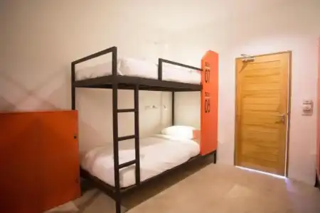 Mad Monkey Chiang Mai - Hostel - 24