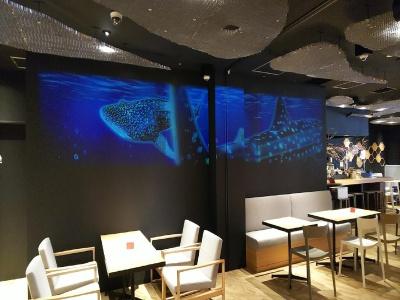 Henn na Osaka Namba - 17