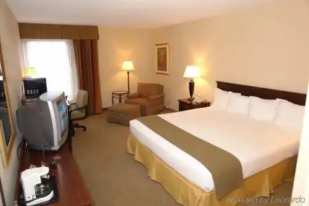 Holiday Inn Express Pigeon Forge/Near Dollywood by IHG - 3
