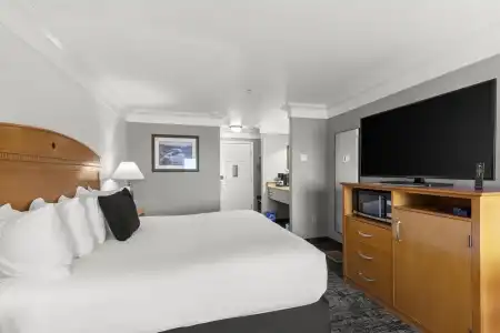 Beachcomber Motel - 43