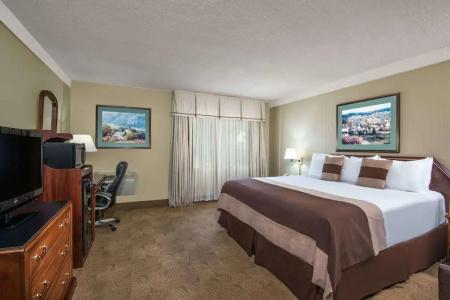 Ramada by Wyndham Denver Downtown - 1