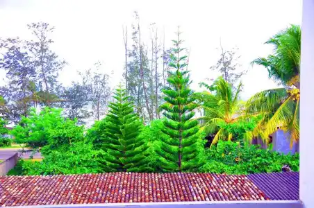 Yasuri Boutique Resort - 7