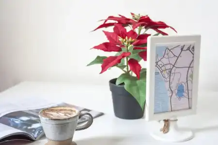 26 Bed and Coffee - 83