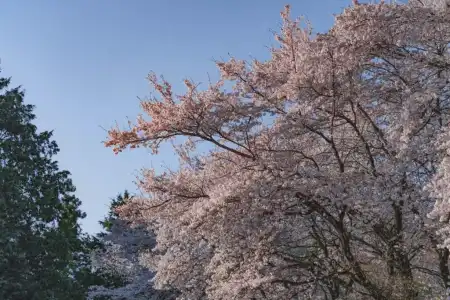 Kominka Yado LOOF Sakanoie - 32