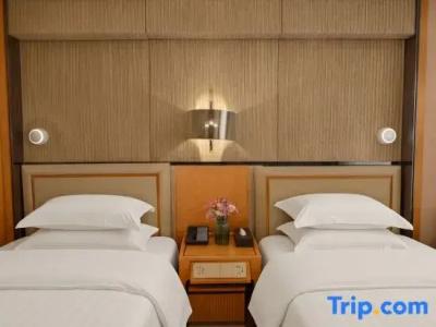 SciTechˑChina NARADA - 80