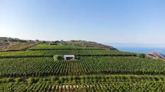 Tenuta di Castellaro Winery & Resort - 18