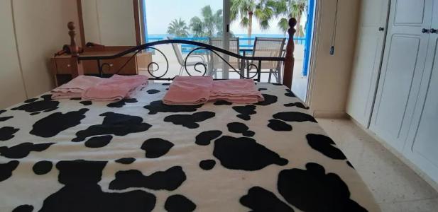 Amalia Apartments - 32