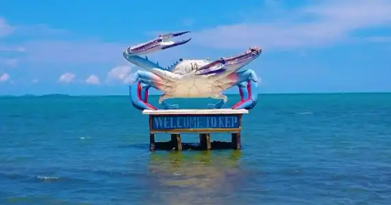 Au Paradis Bleu - 16