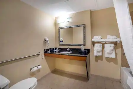 Comfort Suites Fredericksburg North - 71