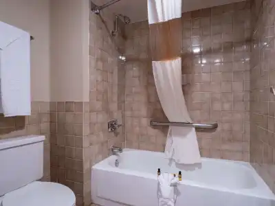 Best Western Plus Saddleback Inn & Conference Center - 42