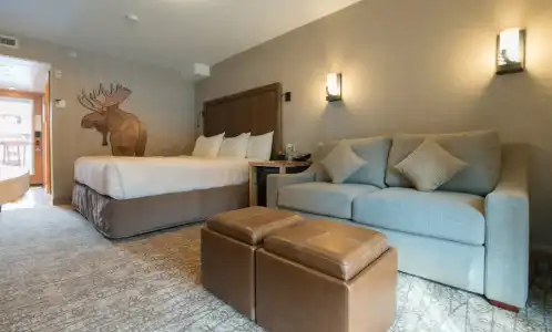 Moose And Suites - 57