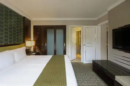 Holiday Inn Singapore Orchard City Centre by IHG - 57