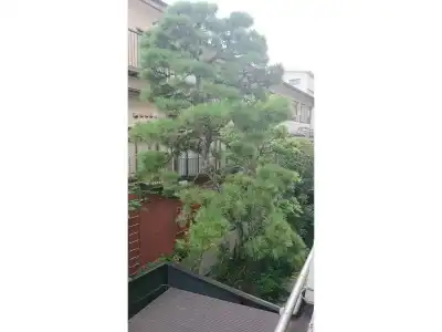 Kinsui Annex - 18