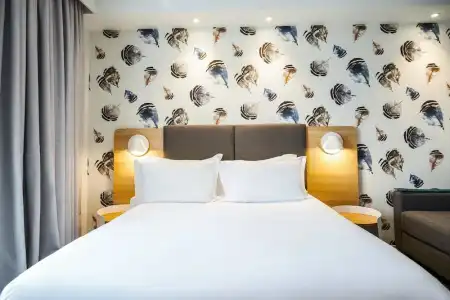 Holiday Inn PERPIGNAN by IHG - 29