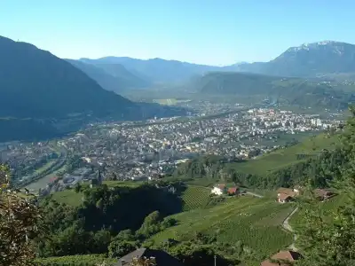 Tollhof - 6
