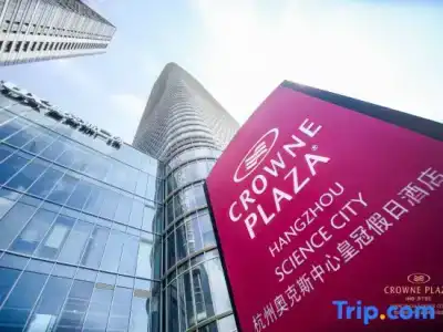 Crowne Plaza HANGZHOU SCIENCE CITY by IHG - 2