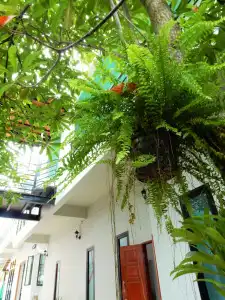 Wandee Bed & Breakfast - 0