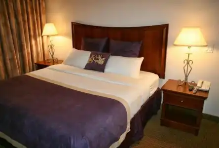 Best Western Lubbock West Inn & Suites - 50