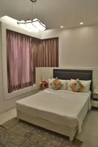 Sarovar Portico Naraina Delhi - 70