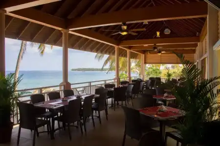 Tropical - 9