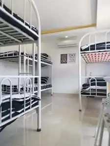 Cat's Hostel - 17